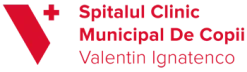 SCMC Valentin Ignatenco Logo mobile